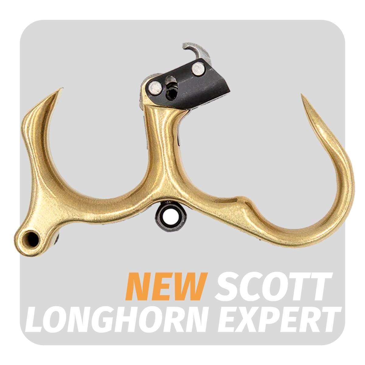 Scott Longhorn Expert