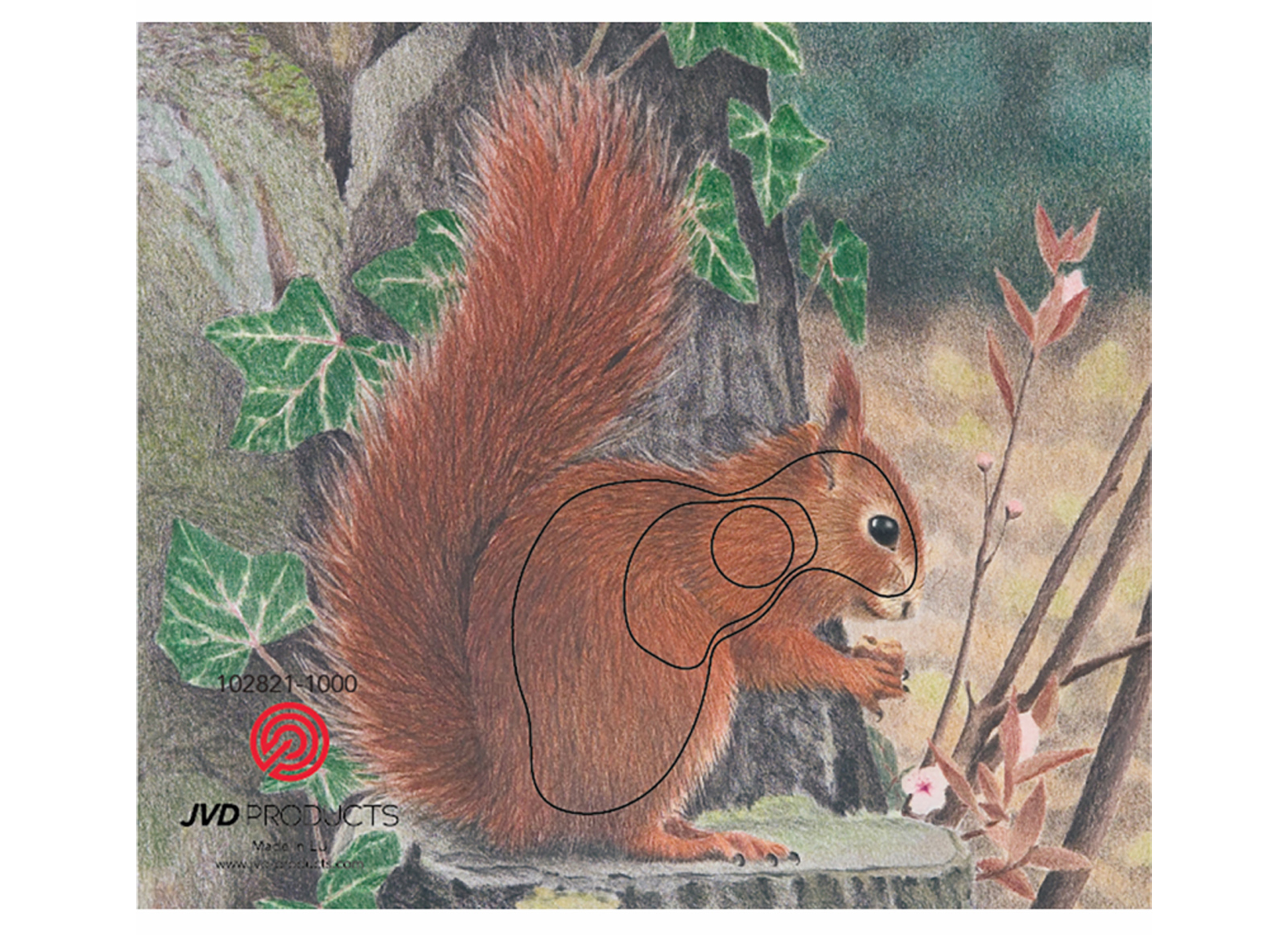 J.V.D. TARGET FACE ANIMAL SQUIRREL