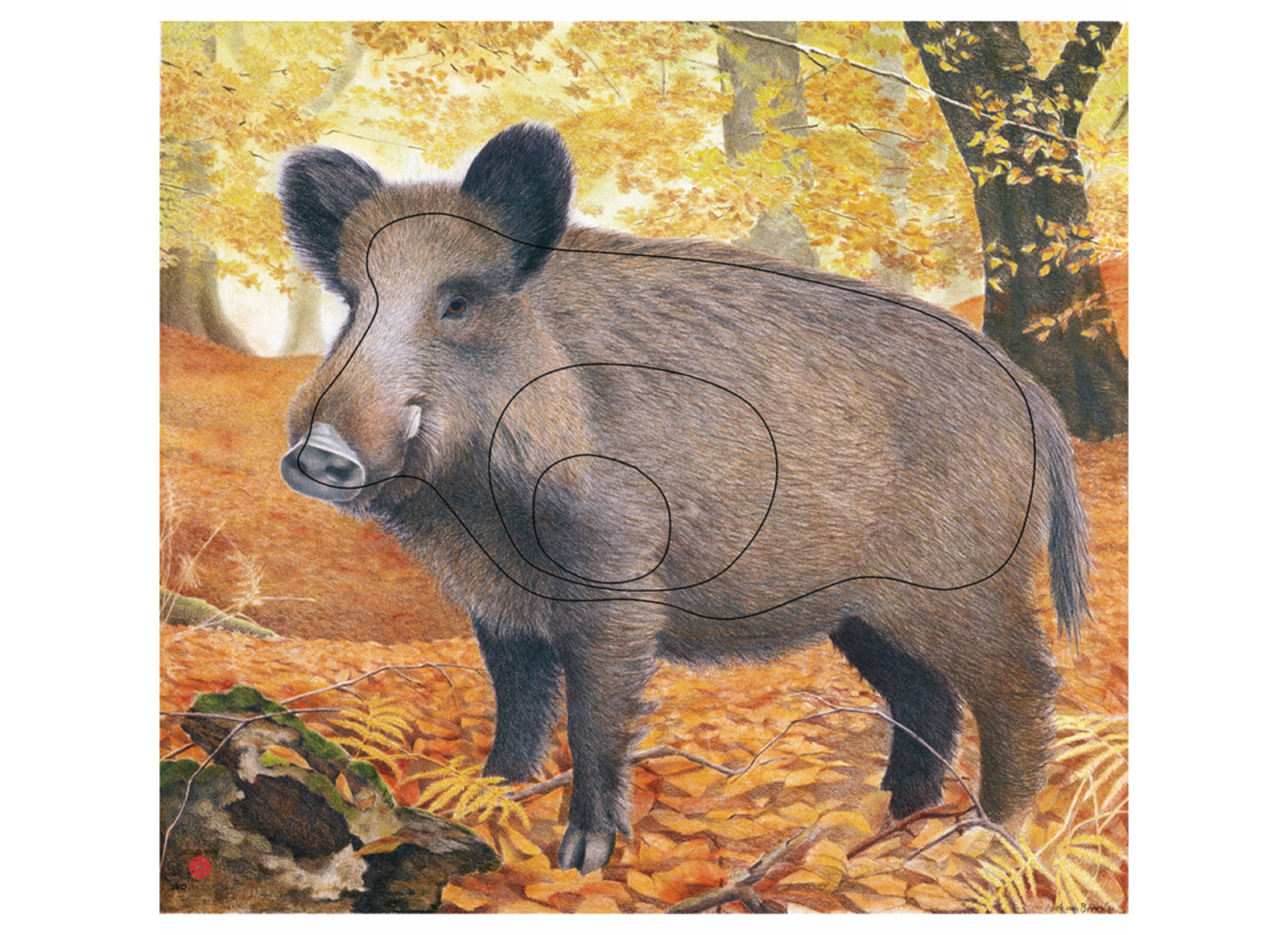 J.V.D. TARGET FACE ANIMAL WILD BOAR