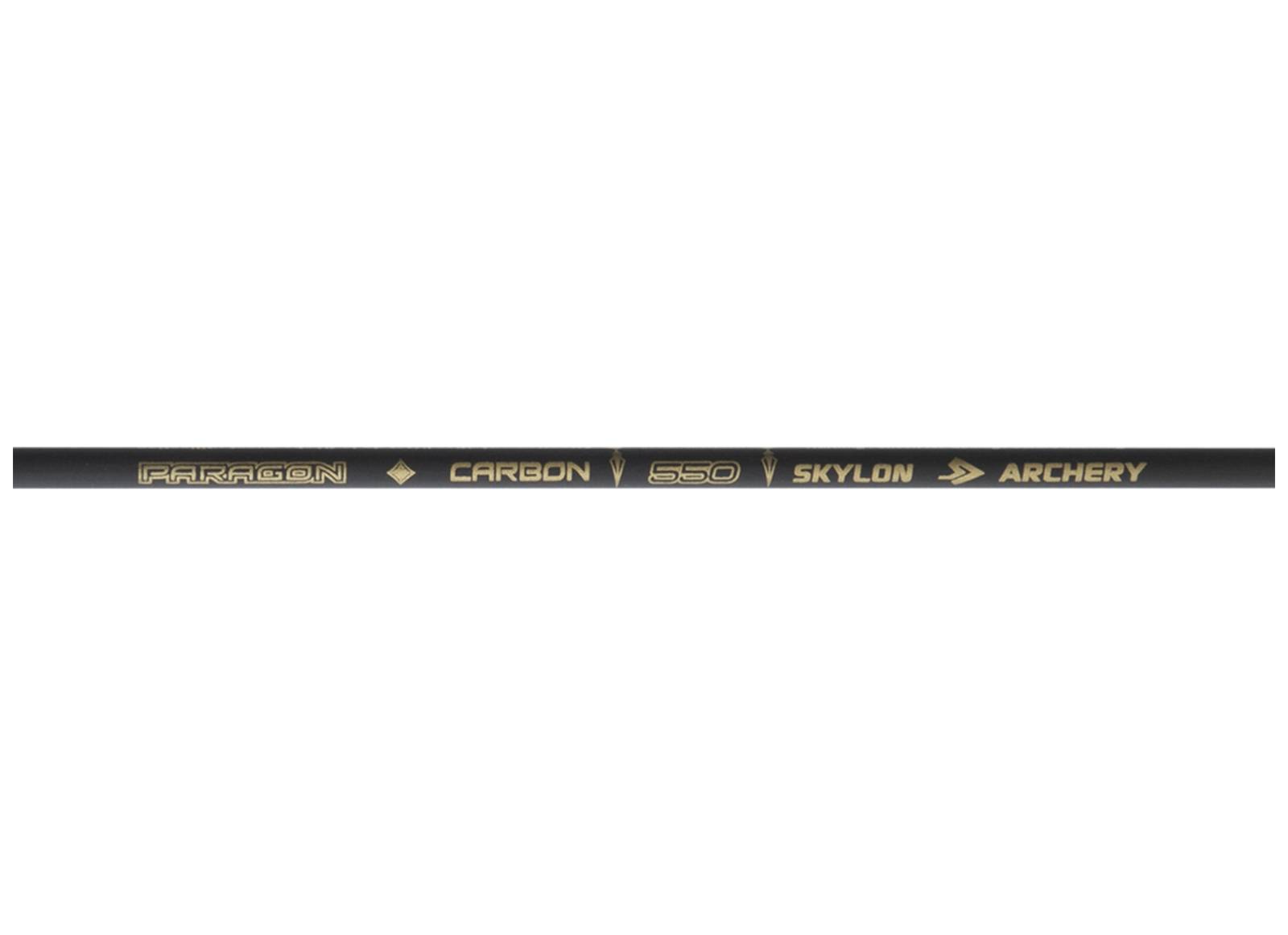 SKYLON ASTA PARAGON 3.2 CONF. 12PZ