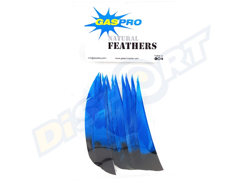 GAS PRO NATURAL FEATHERS 4'' SHIELD CONF. 12 EAGLE VERSION