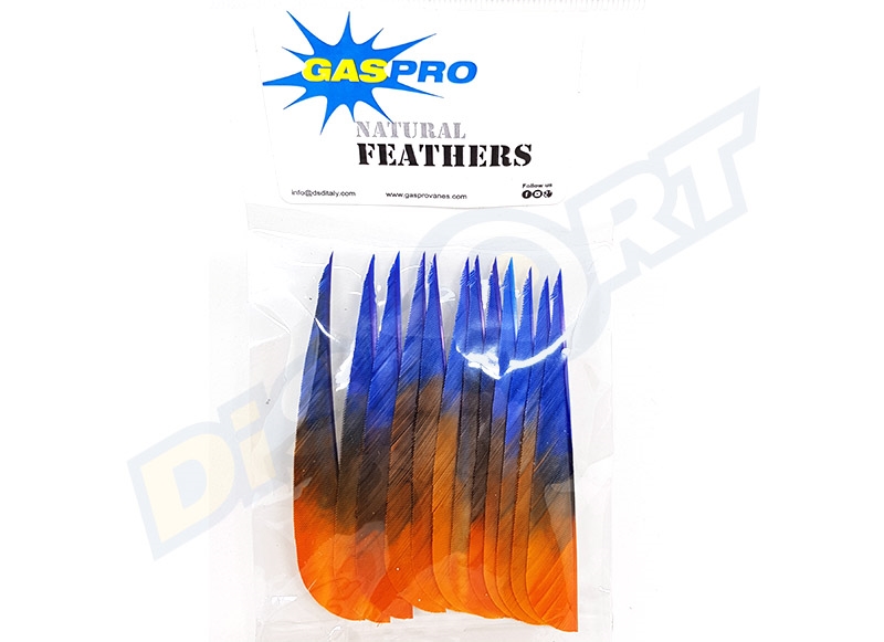 GAS PRO NATURAL FEATHERS 4'' SHIELD CONF. 12 EAGLE VERSION