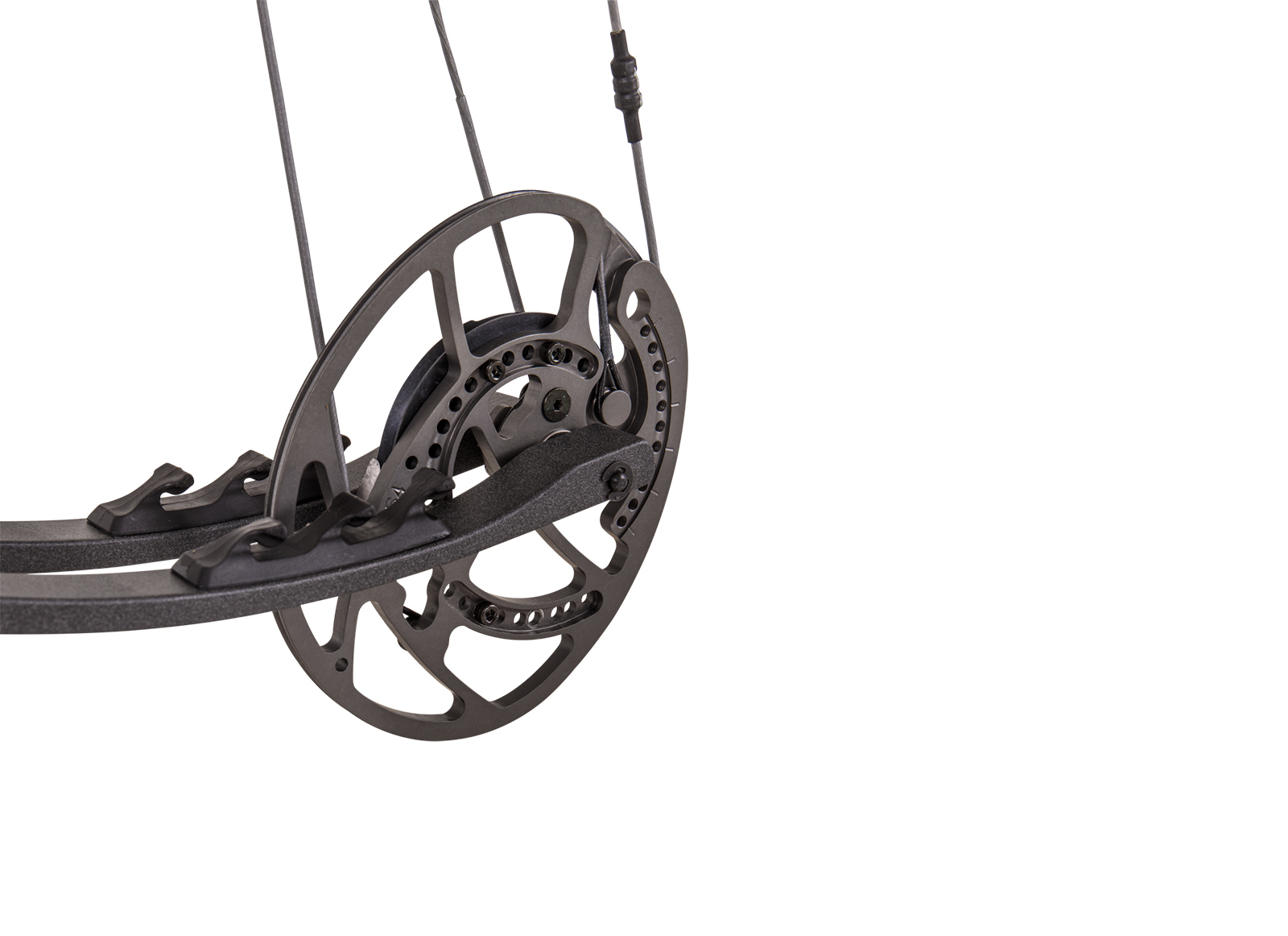 BEAR COMPOUND STATUS EKO 2021 DISPORT